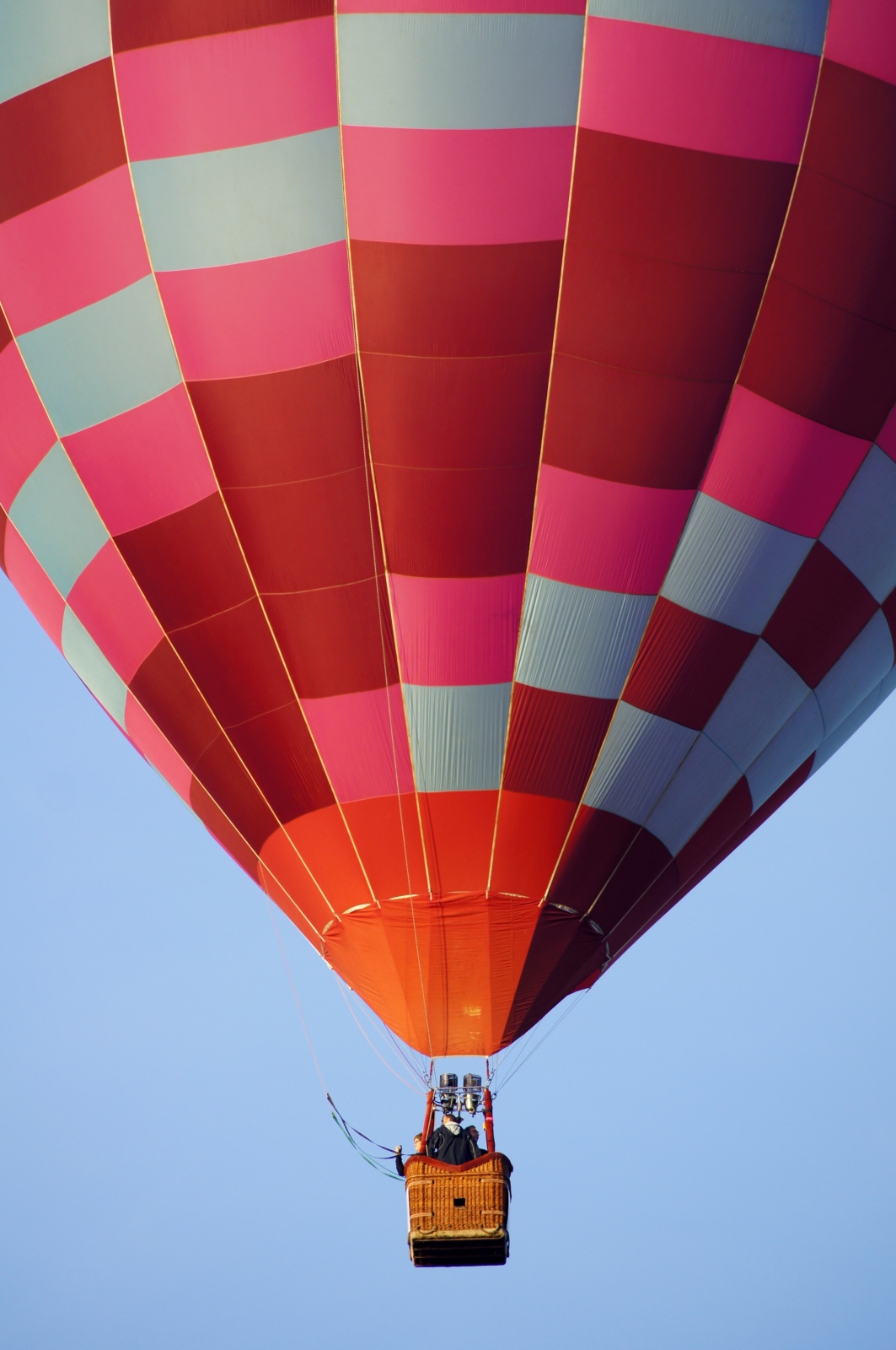 Pink Hot Air Balloon